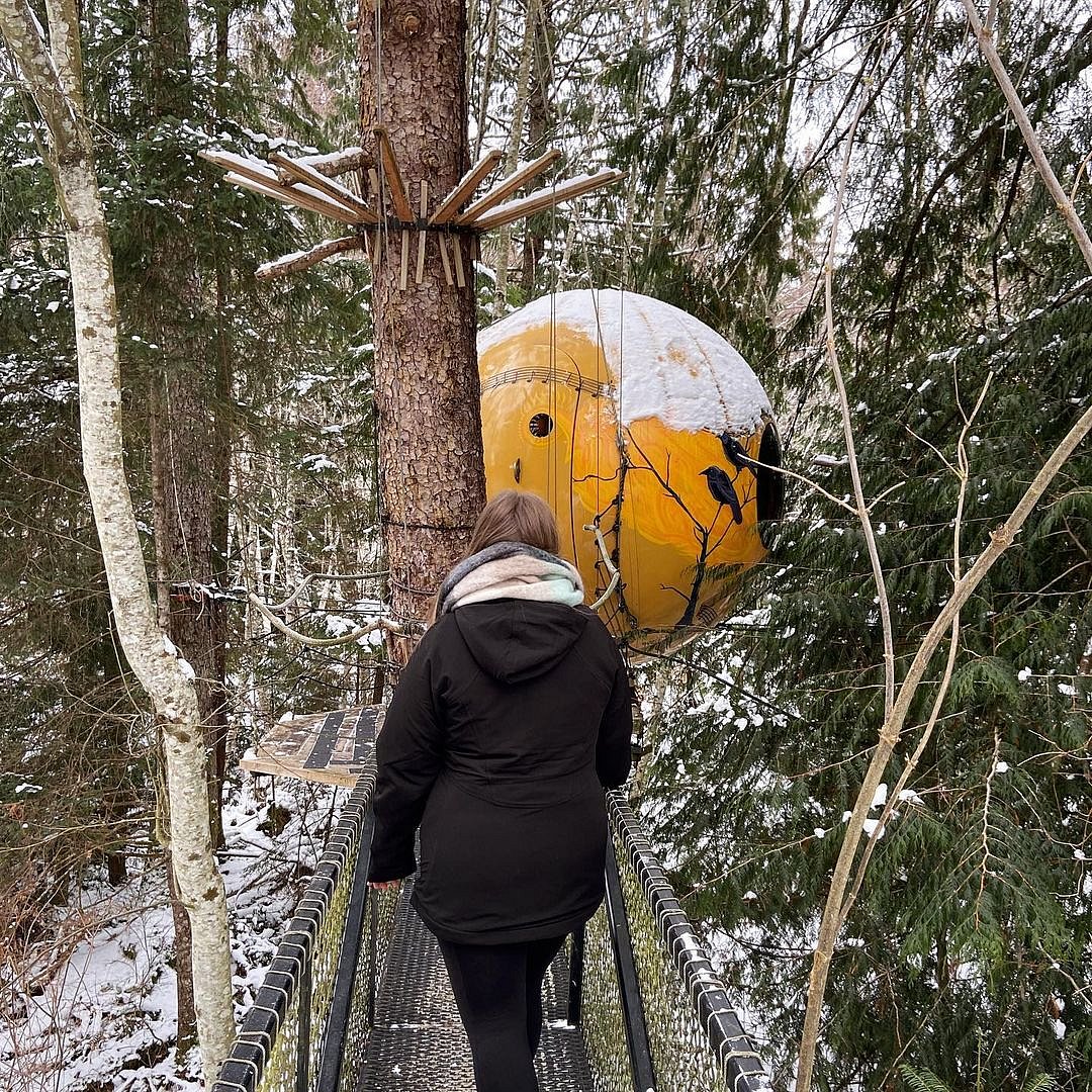 Experience a different kind of treehouse 